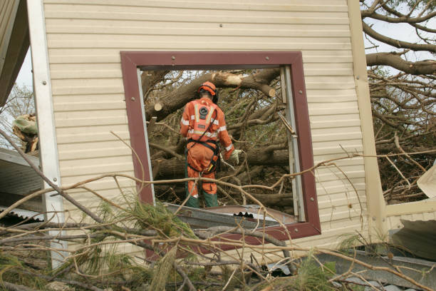 Clearwater, MN Tree Services Company